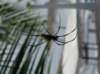 dsc04026_small.jpg