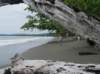 dsc04110_small.jpg