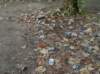 dsc04113_small.jpg