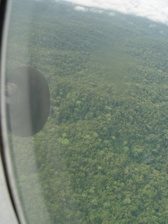 dsc04119.jpg