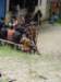 dsc04148_small.jpg