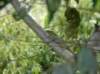 dsc04211_small.jpg