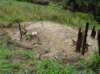 dsc04234_small.jpg