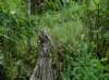 dsc04236_small.jpg