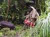 dsc04239_small.jpg