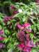 dsc04248_small.jpg