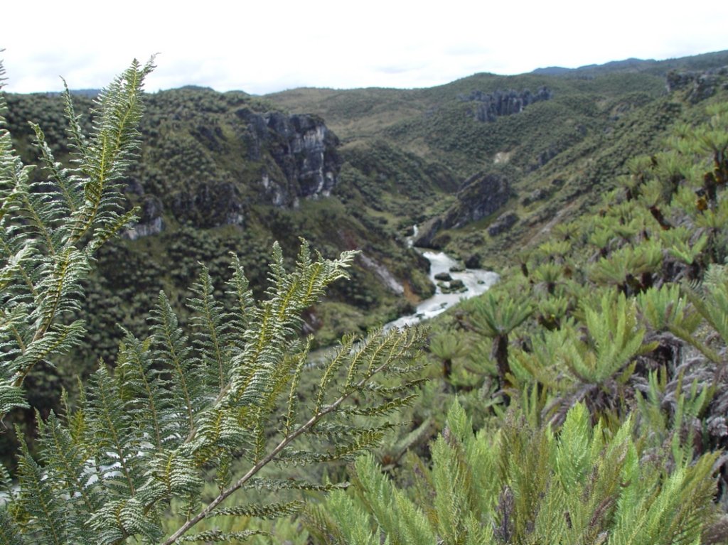 dsc04365.jpg