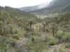 dsc04369_small.jpg