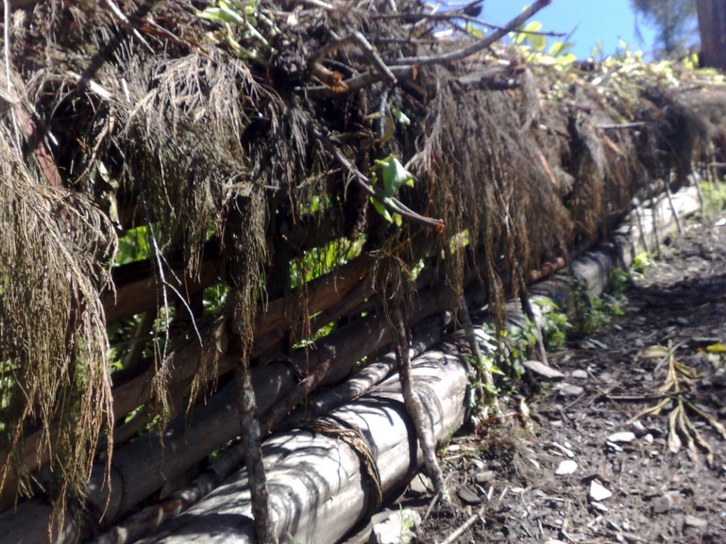 photo33.jpg
