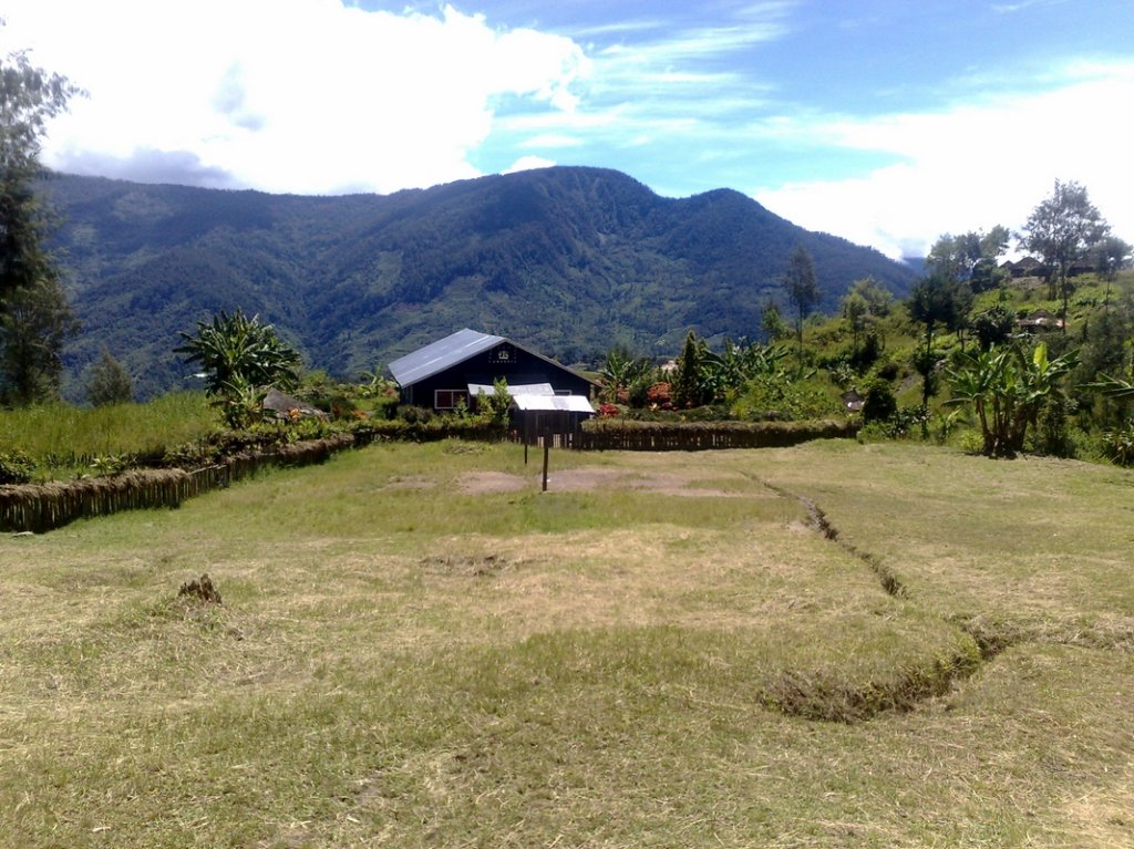 photo39.jpg